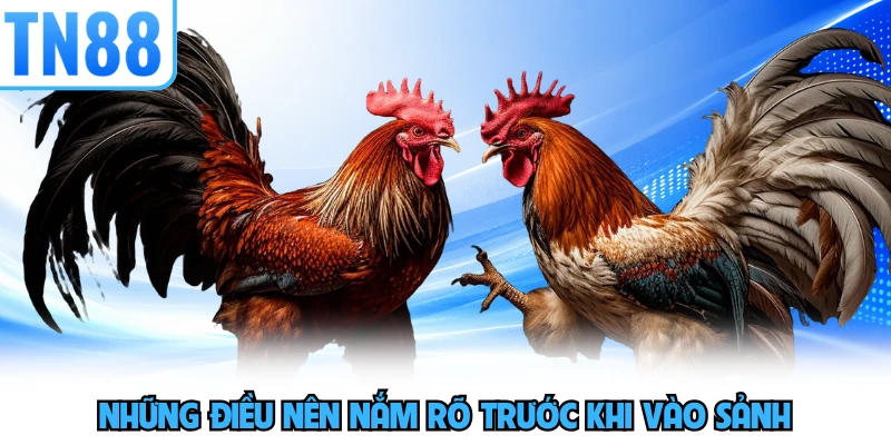 Những điều nên nắm rõ trước khi vào sảnh